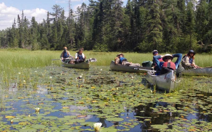 A group of students rest in their canoes amongst water filled with lily pads. There are evergreen trees on the shore in the background. 